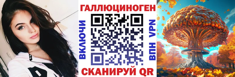 Псилоцибиновые грибы Psilocybe закладка Порхов