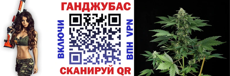 купить  цена  Порхов  Канабис ГИДРОПОН 